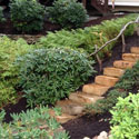 Natural stone steps by Southern Lawnscapes
